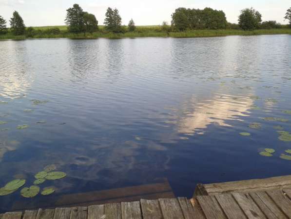 Живописное место у озера в фото 11