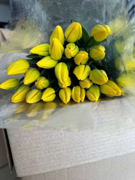 Красивые тюльпаны в Перми фото 3