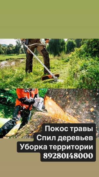 Покос травы, спил деревьев