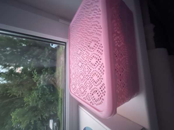 Продам таба сквиши в Омске