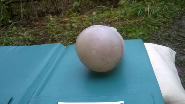 Голова от куклы СССР на запчасти в Смоленске