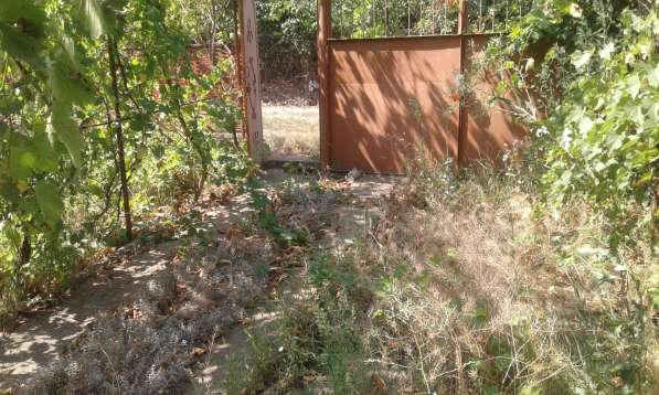 Срочно Продам дом (дача) в фото 23