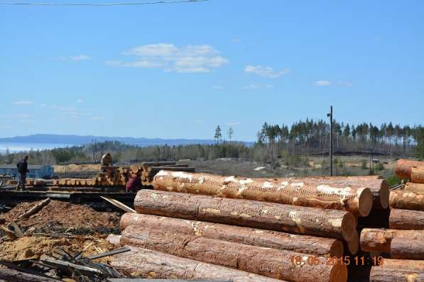 Продается лесопильно-деревообрабатывающий комплекс в Усть-Илимске фото 10