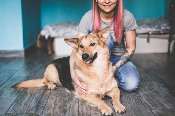 Тося- ищет дом