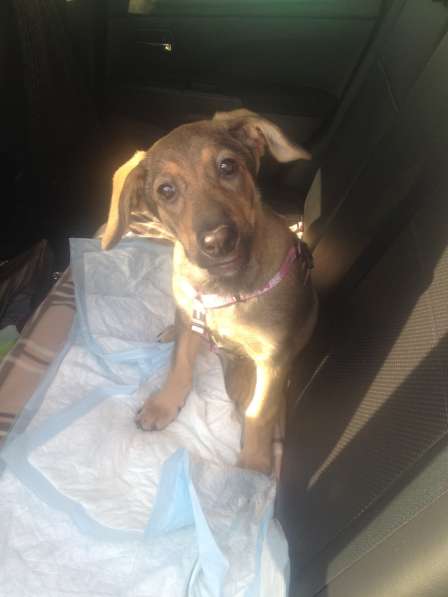 Великолепная Четверка в дар в Москве фото 28