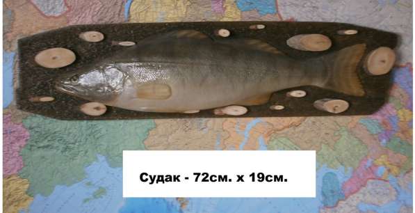 Сувенир для рыбака и охотника в Новосибирске фото 11