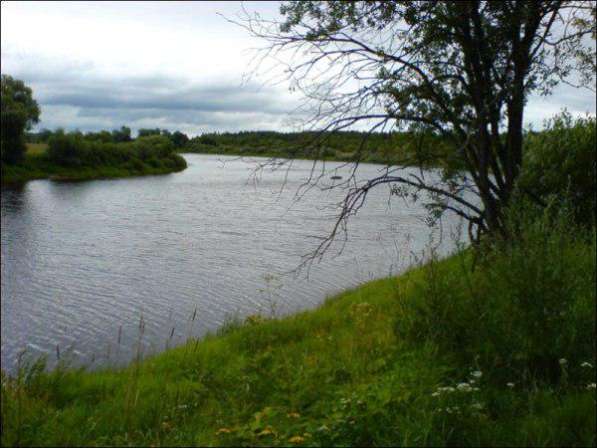 участок на берегу реки Шелонь в 4-х км от г .Сольцы. дер в Старой Руссе