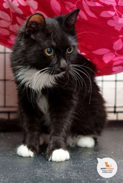 Дуглас хочет сделать вас счастливее в Москве