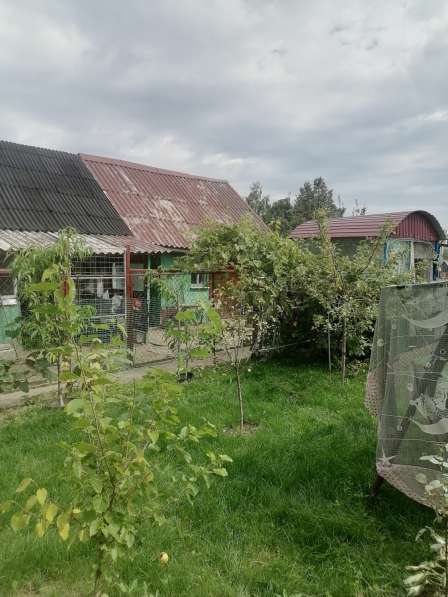 Продам жилой дом в Беларусии в фото 5