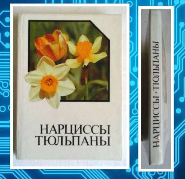 Нарциссы. Тюльпаны. Альбом-справочник в Москве фото 7