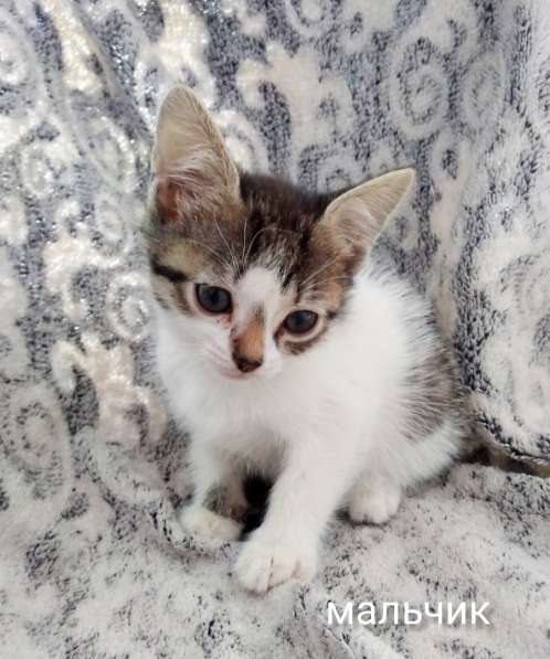 ЛУГАНСК, ВНИМАНИЕ!!! в фото 6