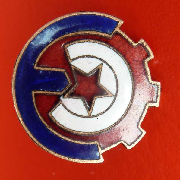 СССР членский знак спортивного объединения Союза энергетиков в Орле фото 12