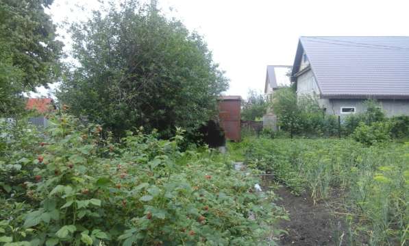 Продам отличный сад в Любителе-2 в Челябинске