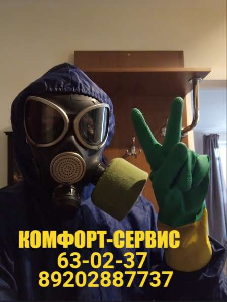 Уничтожение клопов в Орле холодным туманом в Орле фото 3