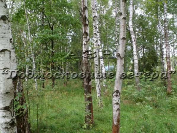 realty_mapper3.plot_in_locationПлощадь 15.00 сот.Есть Электричество, Водопровод. в Москве фото 23