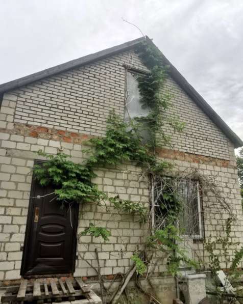 Продам дом в Дороговском в Белой Калитве фото 6