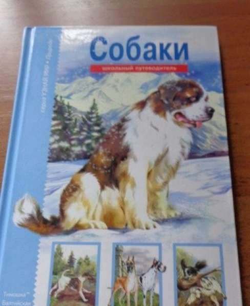 «Собаки. Школьный путеводитель». Е.И.Александрова