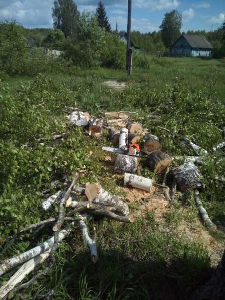 Покос травы, кустарников, спил деревьев, корчевание в Брянске фото 14