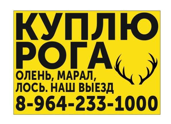 Куплю Рога в Барнауле