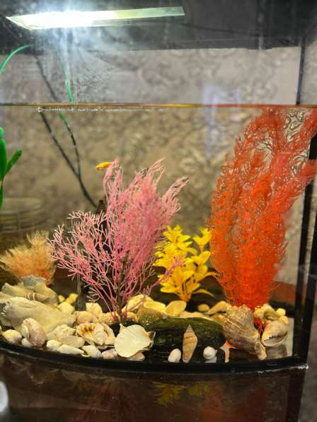 Продам аквариум в Старом Осколе