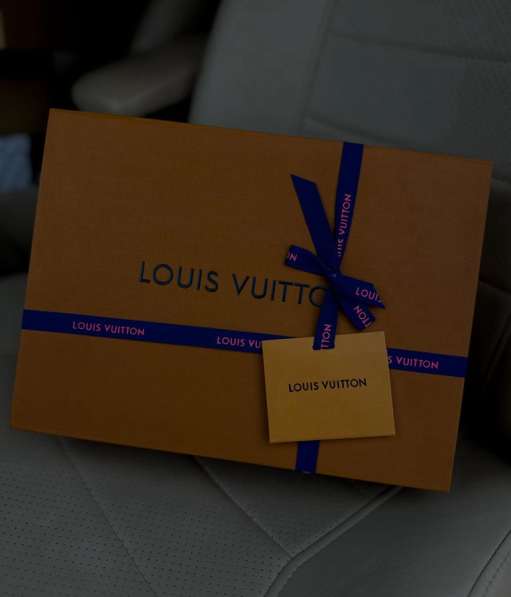 Сумка Louis Vuitton в Вольно-Надеждинскоом