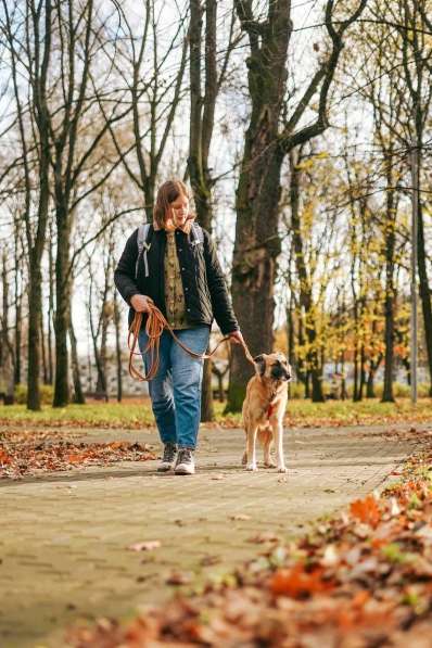 Принцесса Сента ищет дом! в Москве фото 3