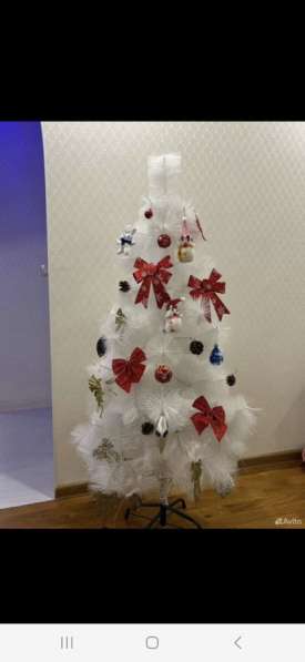 Елка белая в Казани