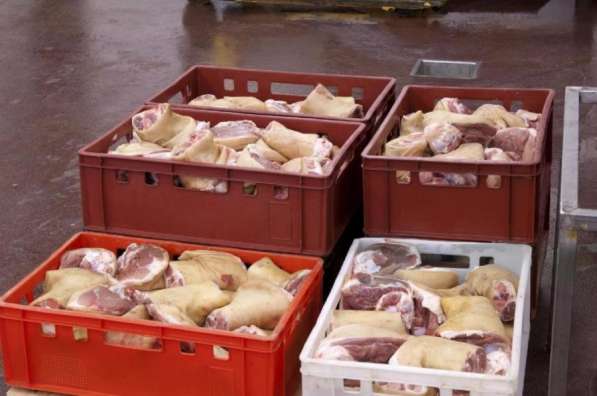 Производство говядины, свинины. Продажа оптом мясо птицы в Москве фото 3