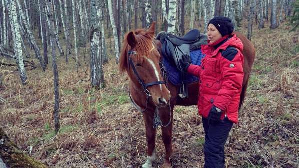 Конная прогулка в Красноярске фото 20