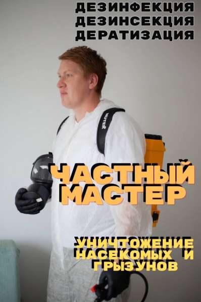 Уничтожение тараканов, клопов, грызунов, устранение плесени