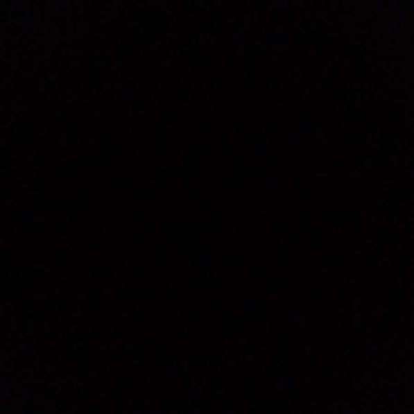 Нужен котенок