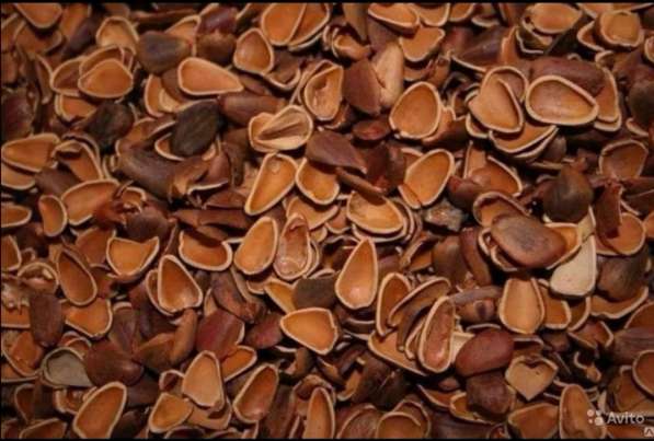 Кедровый орех в Кемерове фото 3