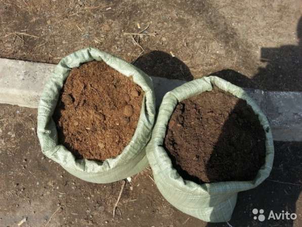 Перегной конский и коровий в Кашире фото 3