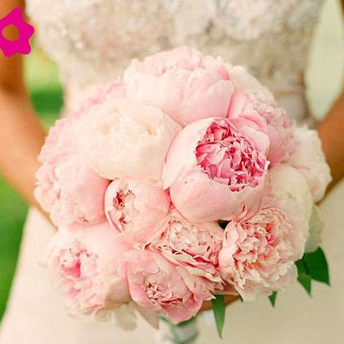 Букет невесты в Алматы Живые цветы на свадьбу в Алматы Цветы