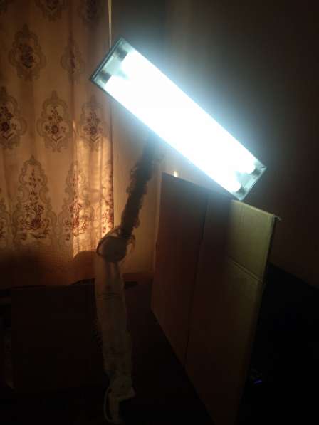 Лампа для ювелиров на струбцине в Балашихе фото 9