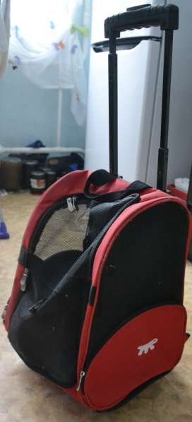 Сумка рюкзак на колесиках для маленьких средних собак складн в Раменское фото 5