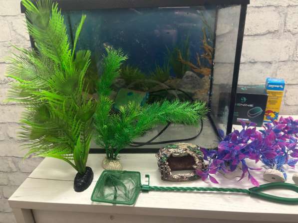 Аквариум 20 литров в Ногинске фото 5