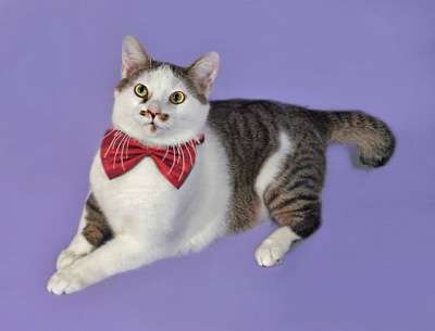 домашний клоун Яха в Санкт-Петербурге фото 9