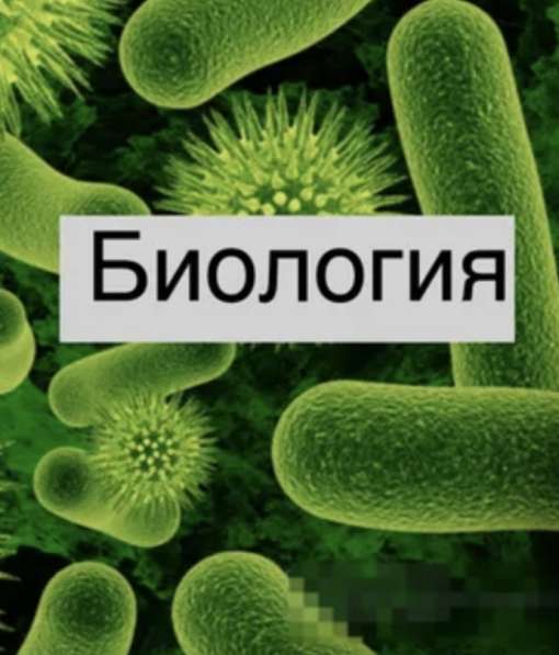 Репетитор по биологии