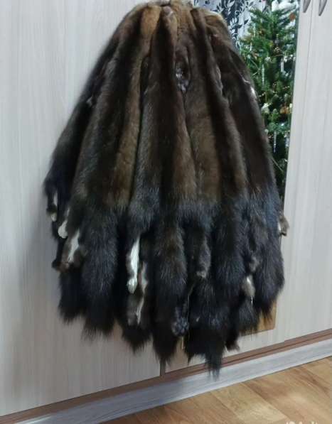 Шкуры соболя в Перми фото 5