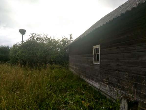Домик с банькой без соседей, 90 соток земли в Пскове фото 10