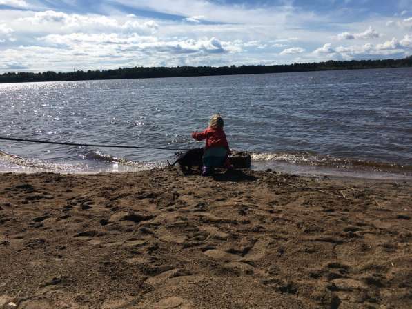 Щенок кроличьей таксы 8-и месяцев. Девочка в Санкт-Петербурге фото 4