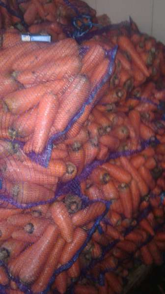 Оптовые поставки мытой, крупной моркови