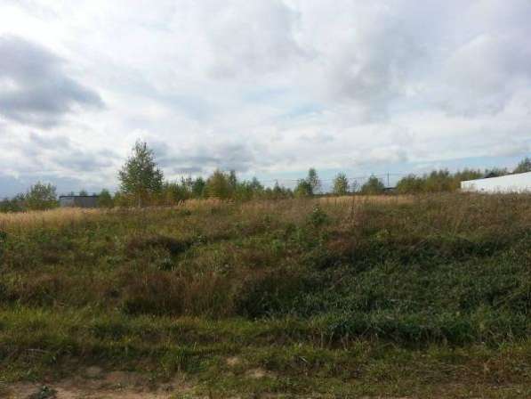 Участок в Ногинске фото 4