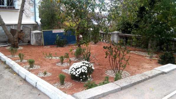 Декоративные отсыпки в Севастополе фото 11