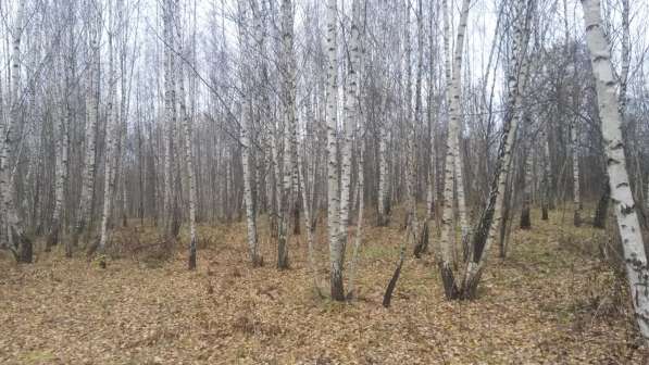 Участок в дачном поселке (ижс, прописка, рассрочка) в Москве фото 3