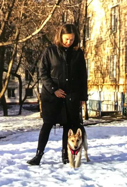 Лилу ищет дом и любящую семью в Москве фото 6