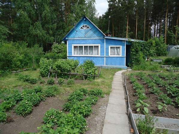 Сад с жилым домом в р-не Южной подстанции в Екатеринбурге фото 8