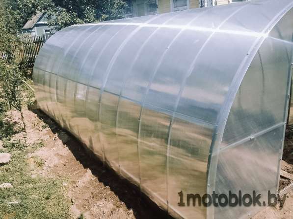 Теплица в фото 3