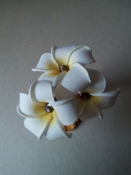 Гавайский цветок в Ростове-на-Дону